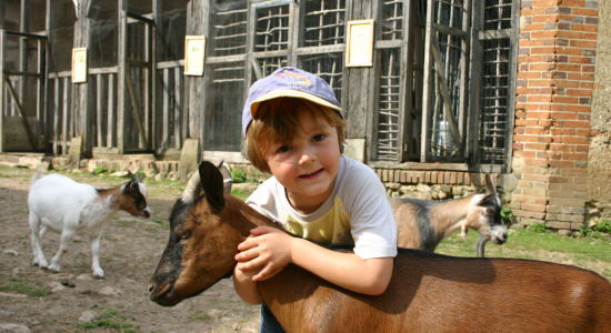 Image slider