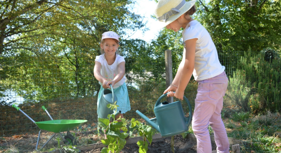 Image slider