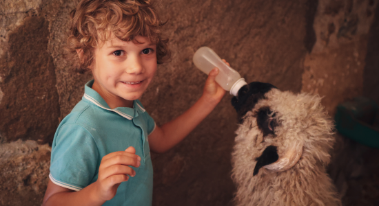 Image slider