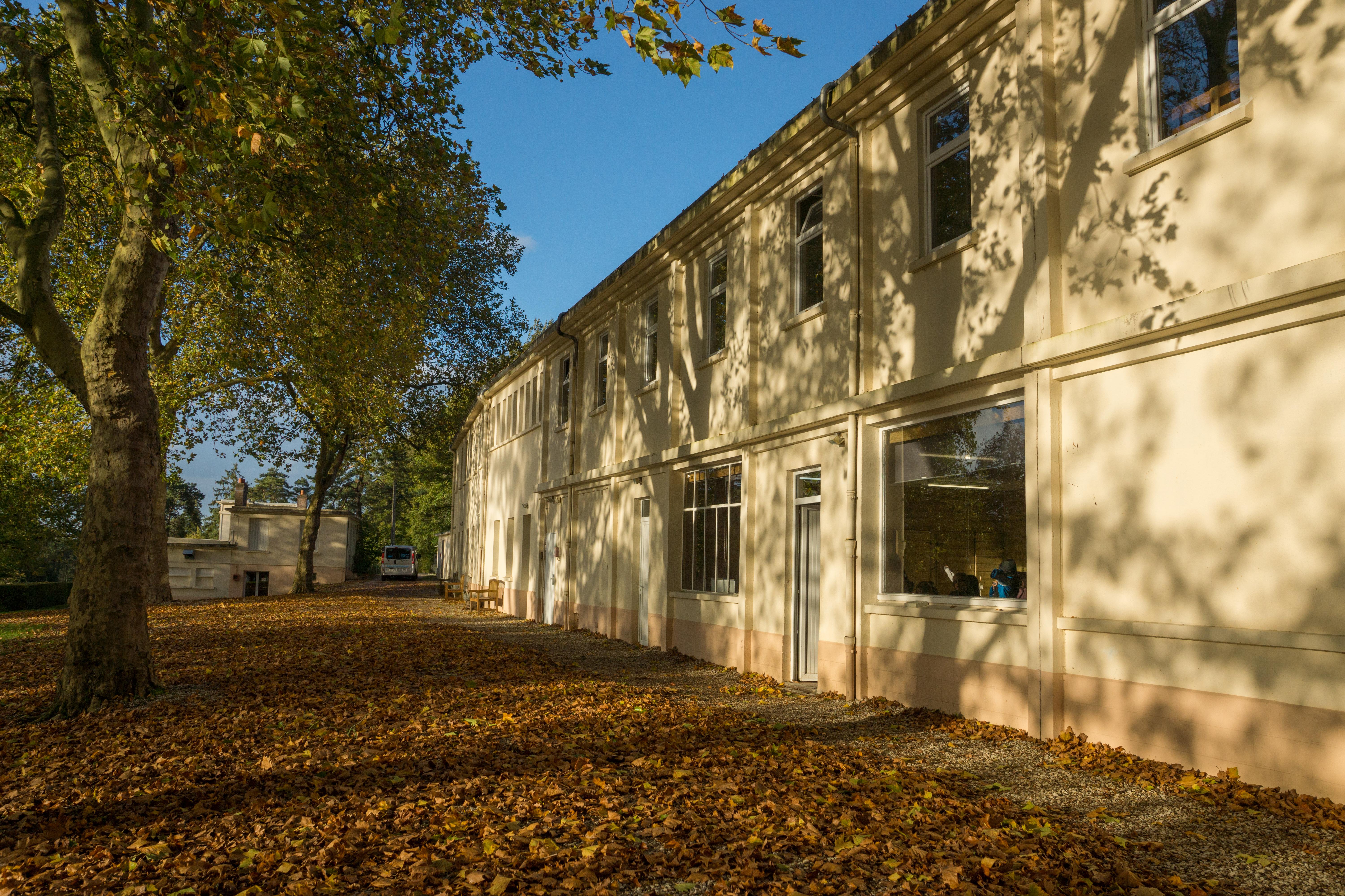 Mushers Trappeurs - Colonie de vacances nature et aventure