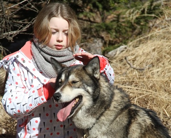 Mushers Trappeurs - Colonie de vacances nature et aventure