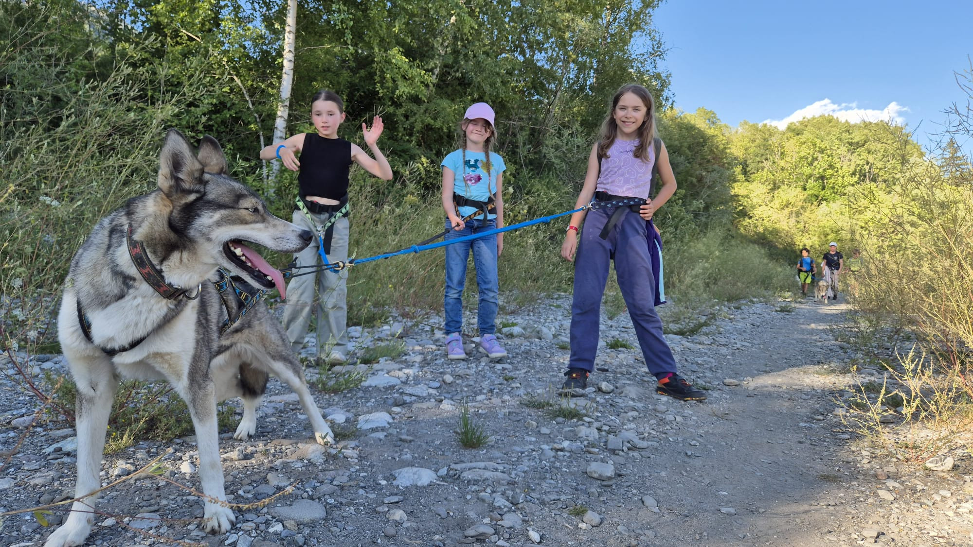Groupe d'enfants en colo en pleine balade avec des chiens et le musher.