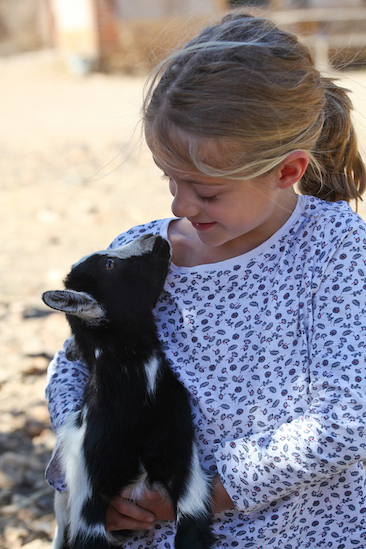 Mini ferme - Colonie de vacances à la ferme