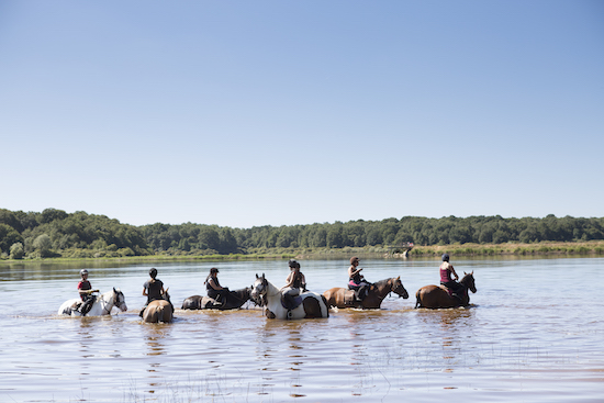 Equit' Aventure - Colonie de vacances équitation