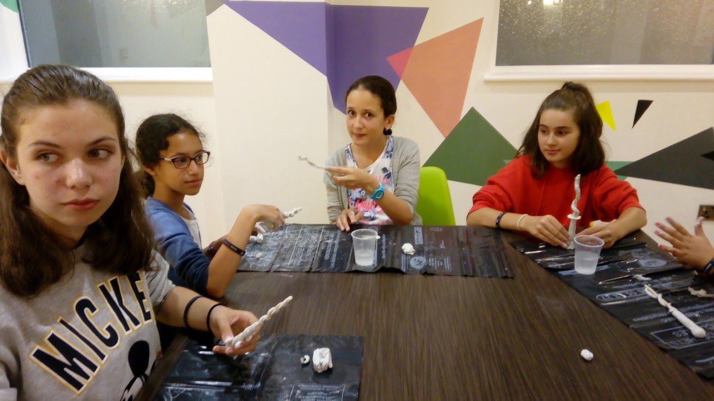 Le Château d'Harry Potter - Colonie Harry Potter