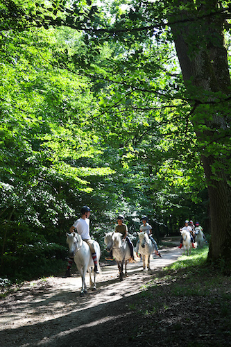 Mes Vacances à la Ferme - Séjour à la ferme pédagogique