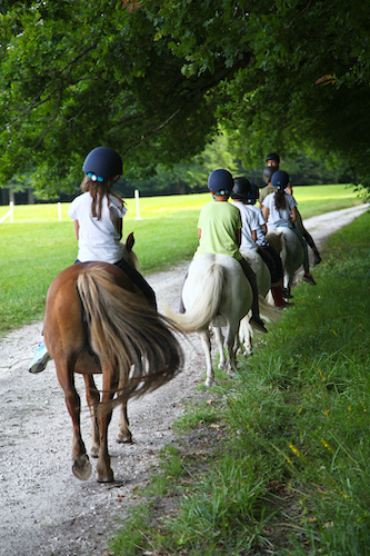 Mes Vacances à la Ferme - Séjour à la ferme pédagogique