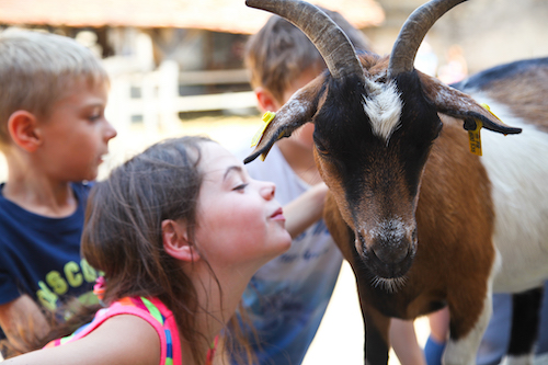 Mes Vacances à la Ferme - Séjour à la ferme pédagogique