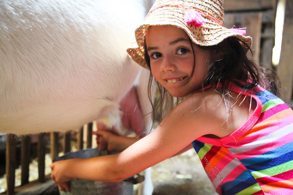Mes Vacances à la Ferme - Séjour à la ferme pédagogique