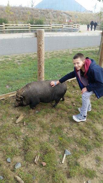 Center Parcs et Futurosocope - Colonie à Center Parcs