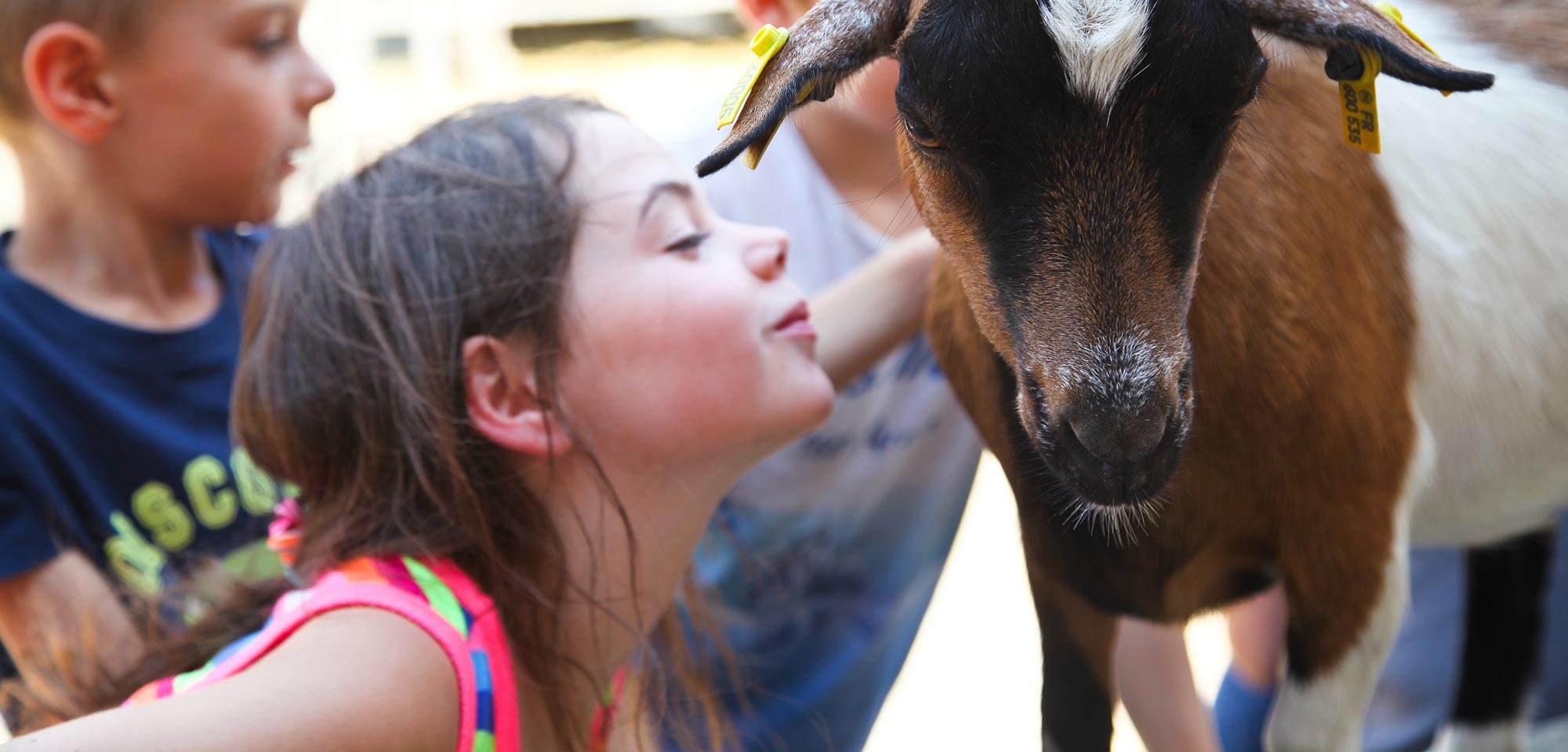 Enfant de 6 à 9 ans sur un séjour à la ferme avec des activités autour des animaux pendant ses vacances d'été en France