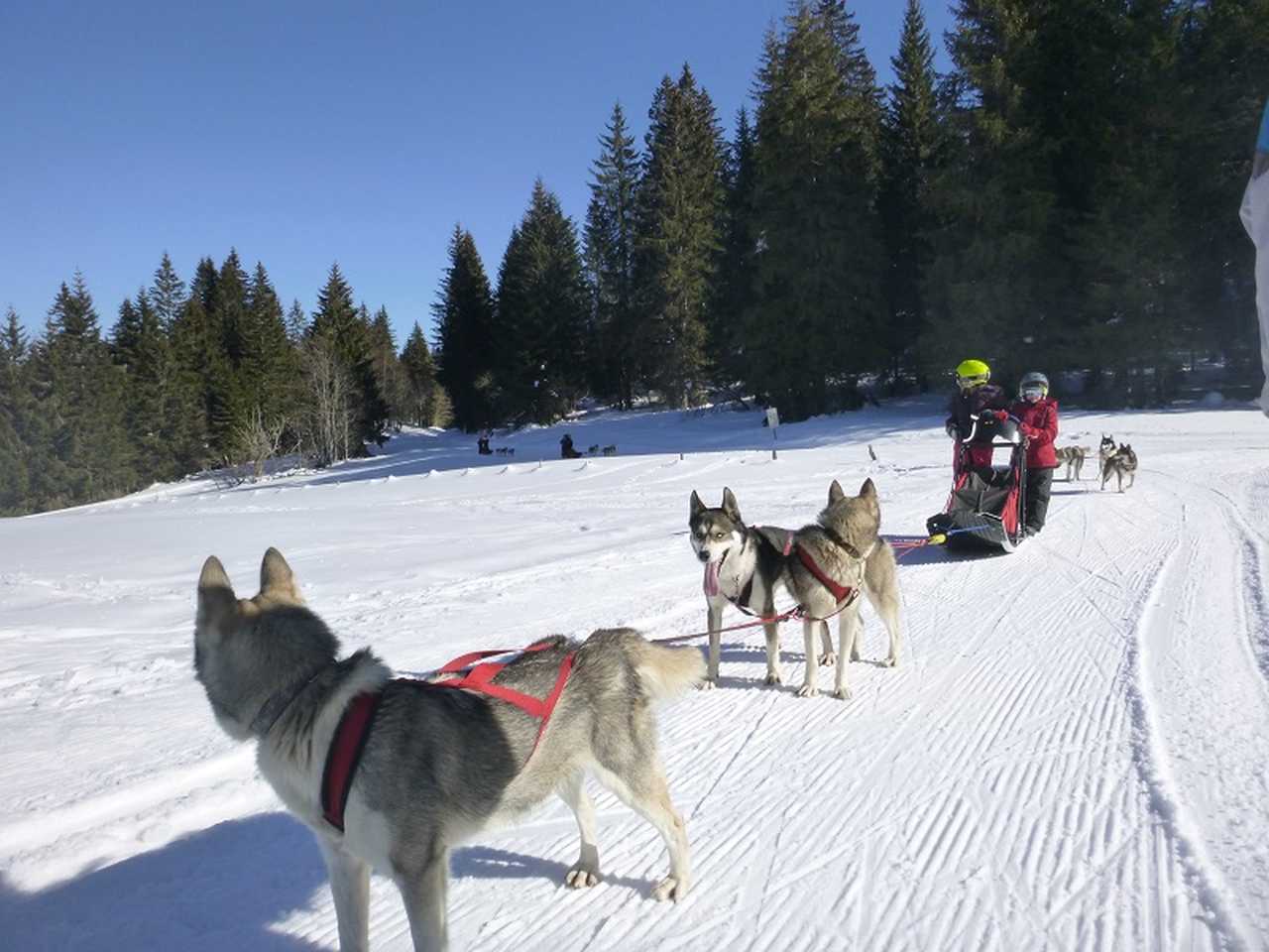 Mes Vacances au Ski - Colonie de ski