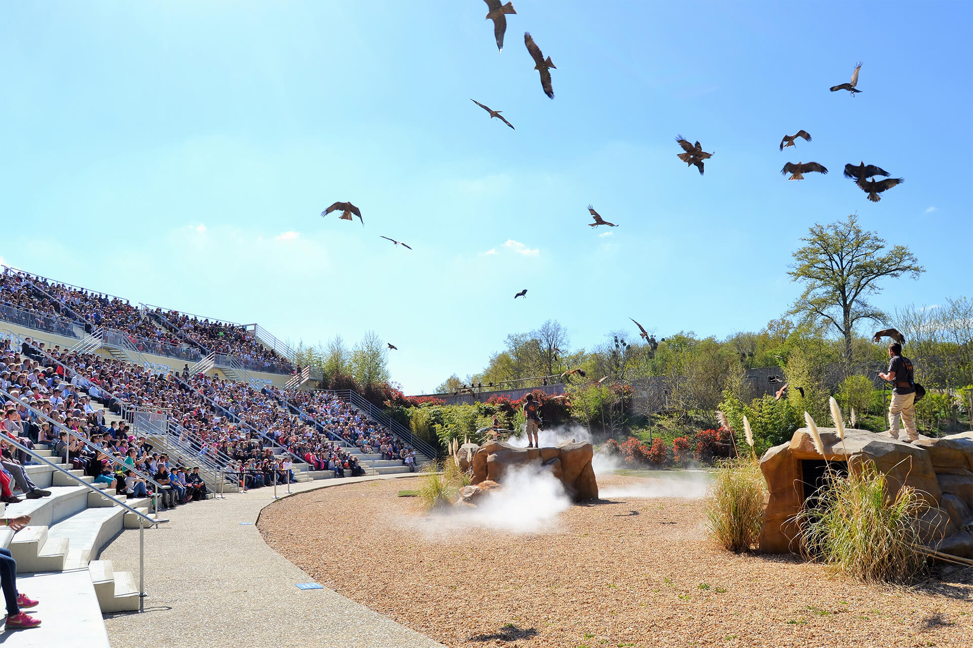 Zoo de Beauval - Colo vacances court séjour au Zoo de Beauval