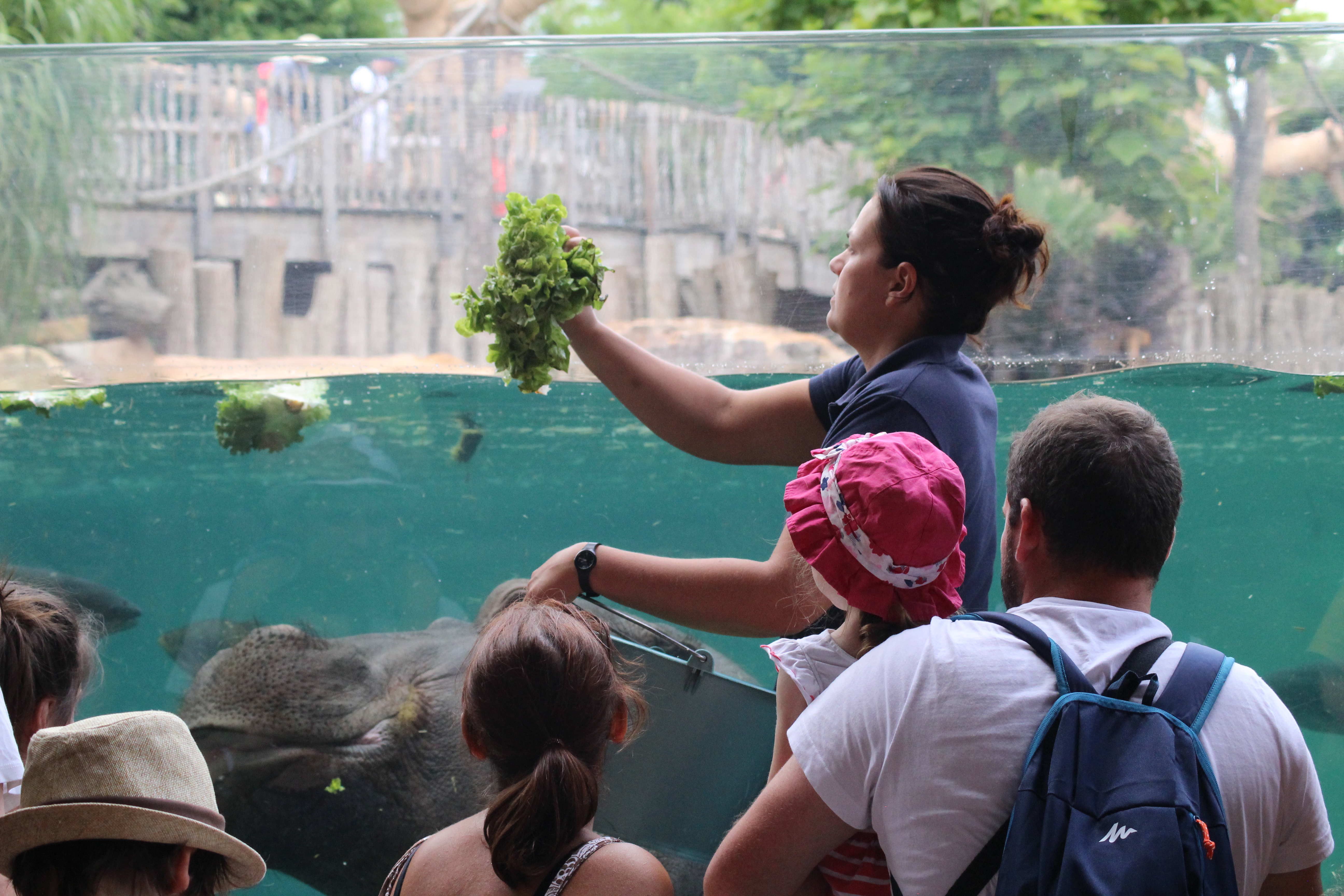 Zoo de Beauval - Colo vacances court séjour au Zoo de Beauval