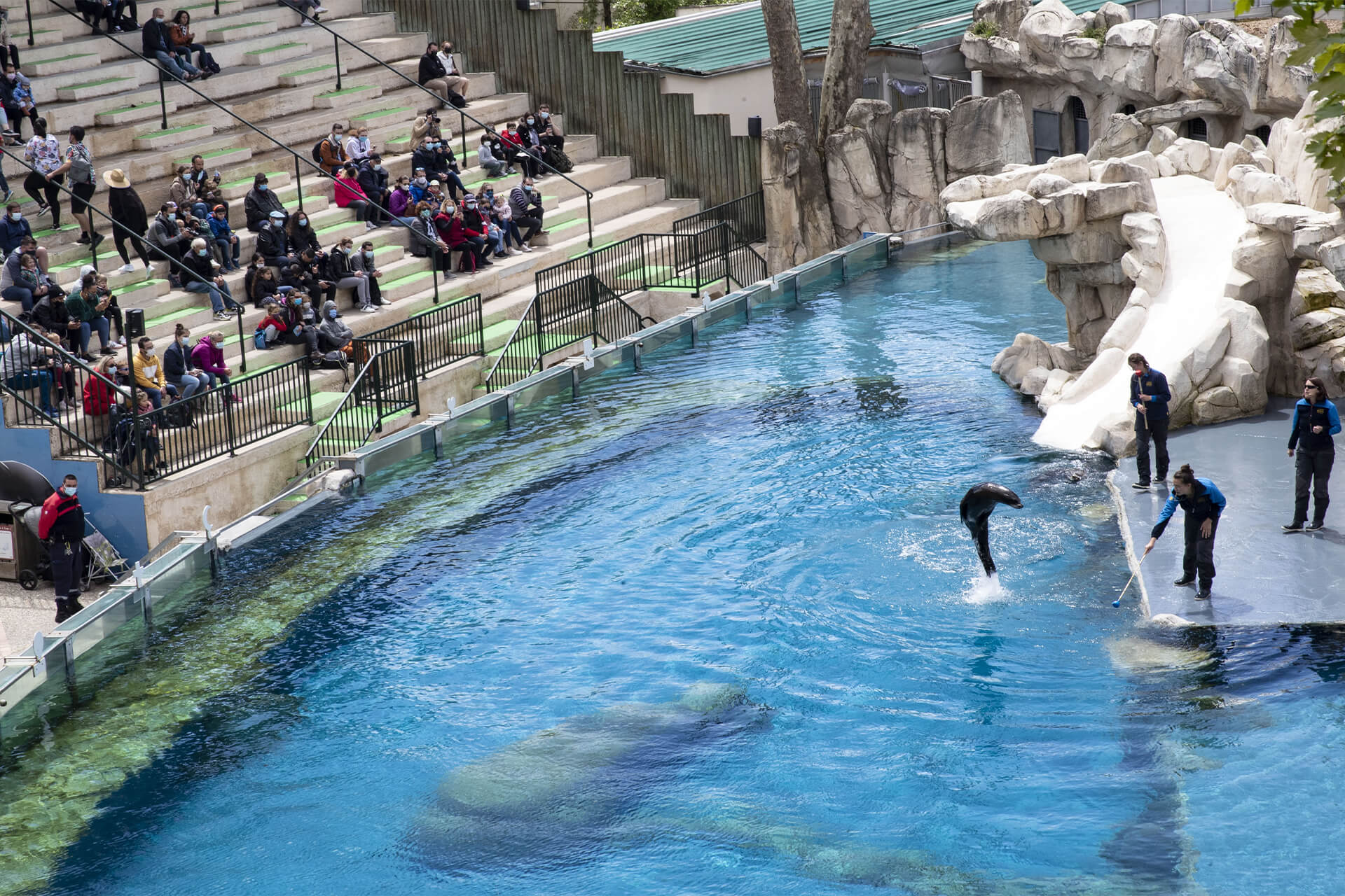 Zoo de Beauval - Colo vacances court séjour au Zoo de Beauval