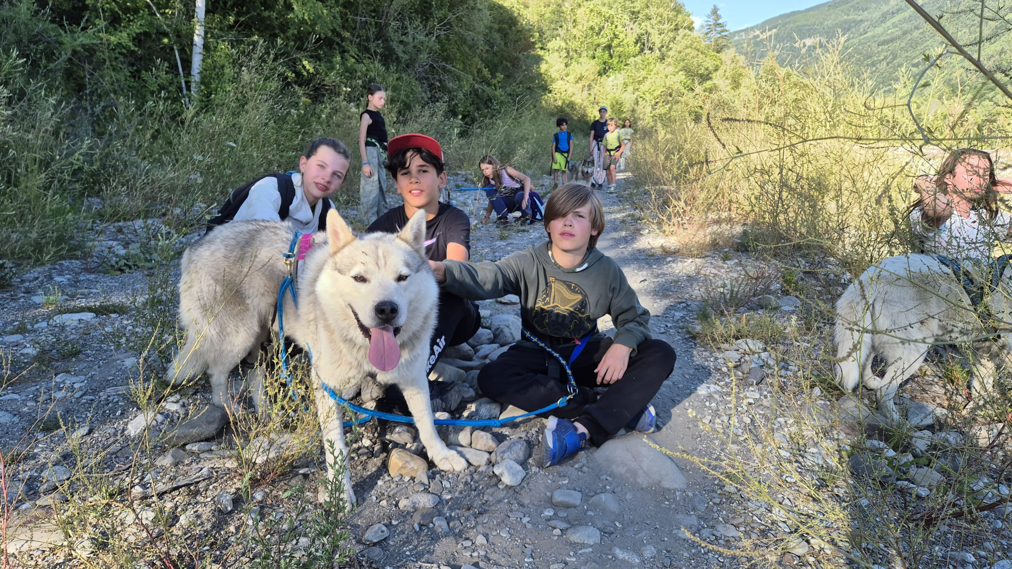 Mushers Trappeurs - Colonie de vacances nature et aventure