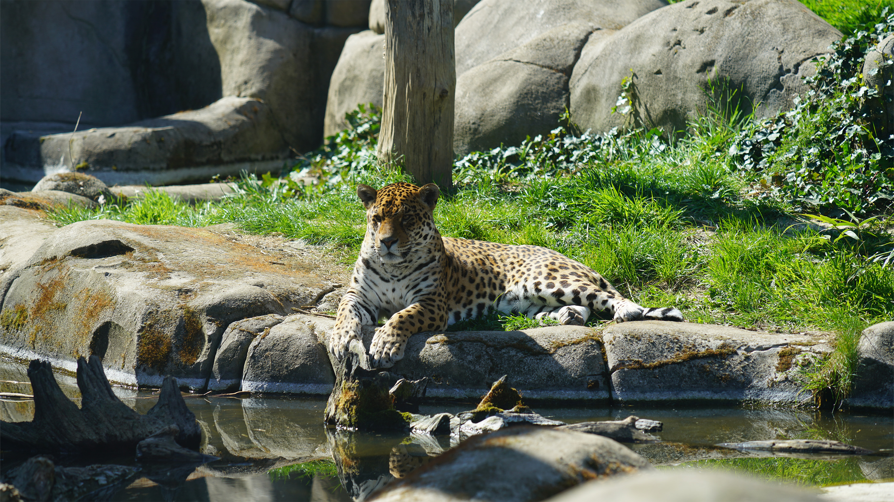 Une semaine fantastique (sans hébergement - à Paris)
